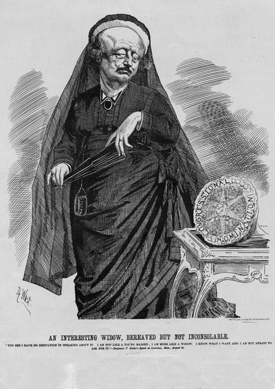 An interesting widow: bereaved but not inconsolable by Theodore Wust